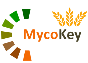 MycoKey Round Table Discussions of Future Directions in Research on Chemical Detection Methods, Genetics and Biodiversity of Mycotoxins Image