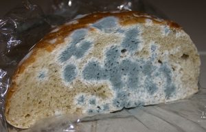 Dietary exposure to mycotoxins through the consumption of commercial bread loaf in Valencia, Spain Image