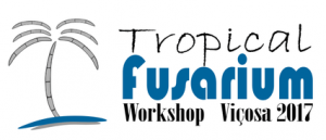 MycoKey presentation at the Tropical Fusarium Training Course, Vicosa, Brazil Image