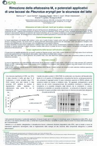 Rimozione della aflatossina M1 e potenziali applicativi di una laccasi da Pleurotus eryngii per la sicurezza del latte Image