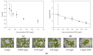 Microbial Detoxification of Deoxynivalenol (DON), Assessed via a Lemna minor L. Bioassay, through Biotransformation to 3-epi-DON and 3-epi-DOM-1 Image