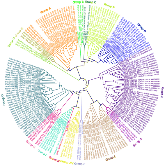 Genome-wide analysis of family-1 UDP glycosyltransferases (UGT) and identification of UGT genes for FHB resistance in wheat (Triticum aestivum L.) Image