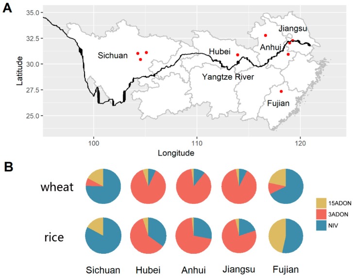 Host and Cropping System Shape the Fusarium Population: 3ADON-Producers Are Ubiquitous in Wheat Whereas NIV-Producers Are More Prevalent in Rice Image