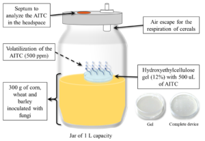 Development of an Antifungal and Antimycotoxigenic Device Containing Allyl Isothiocyanate for Silo Fumigation Image