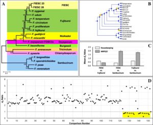 Variation in secondary metabolite production potential in the Fusarium incarnatum-equiseti species complex revealed by comparative analysis of 13 genomes Image