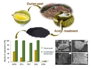 The Effectiveness of Durian Peel as a Multi-Mycotoxin Adsorbent Image