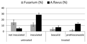 In Vitro and in Field Response of Different Fungicides against Aspergillus flavus and Fusarium Species Causing Ear Rot Disease of Maiz Image